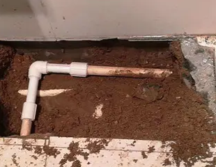 镇江市测漏水哪家好