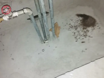 镇江市卫生间测漏水价格明细