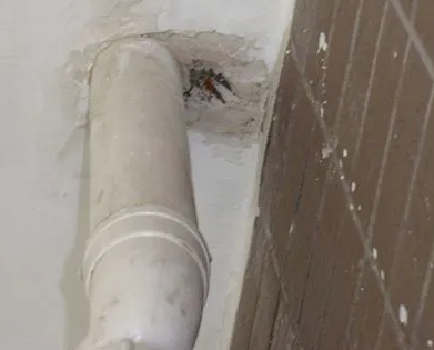 镇江市漏水检测哪家好